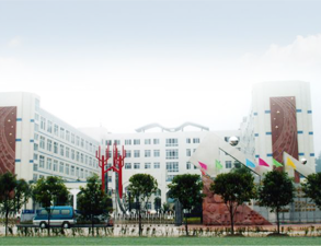 乐山外国语小学学校食堂粉色视频免费网站设备工程项目